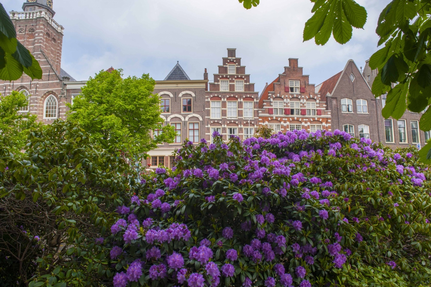 Leiden  © Ronald Meekel