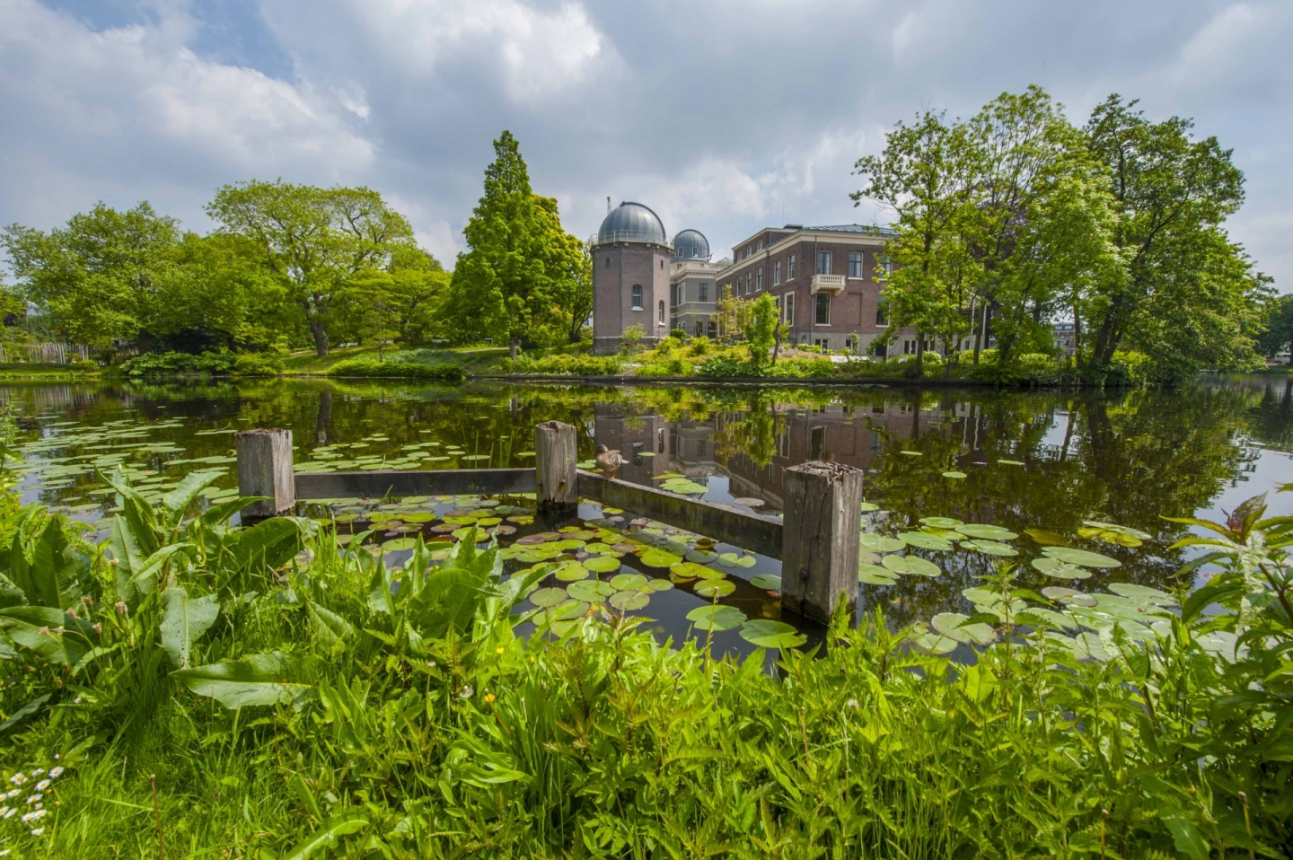 Leiden  © Ronald Meekel