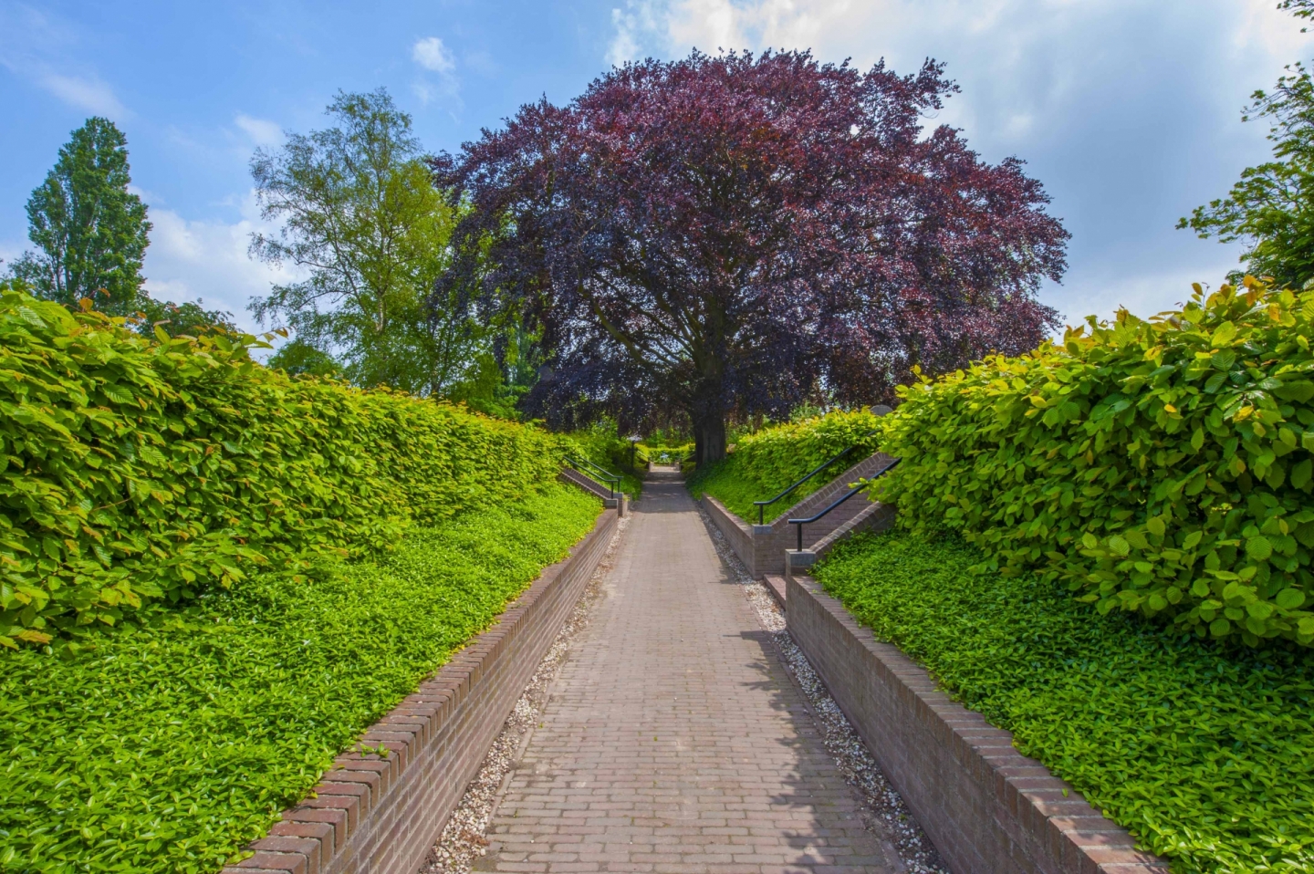 Leiden  © Ronald Meekel