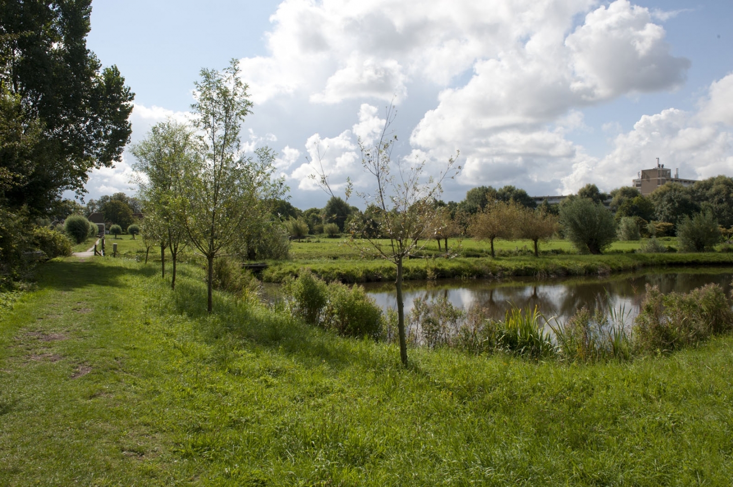 Gezondheidszorg in woonwijk  © Ronald Meekel