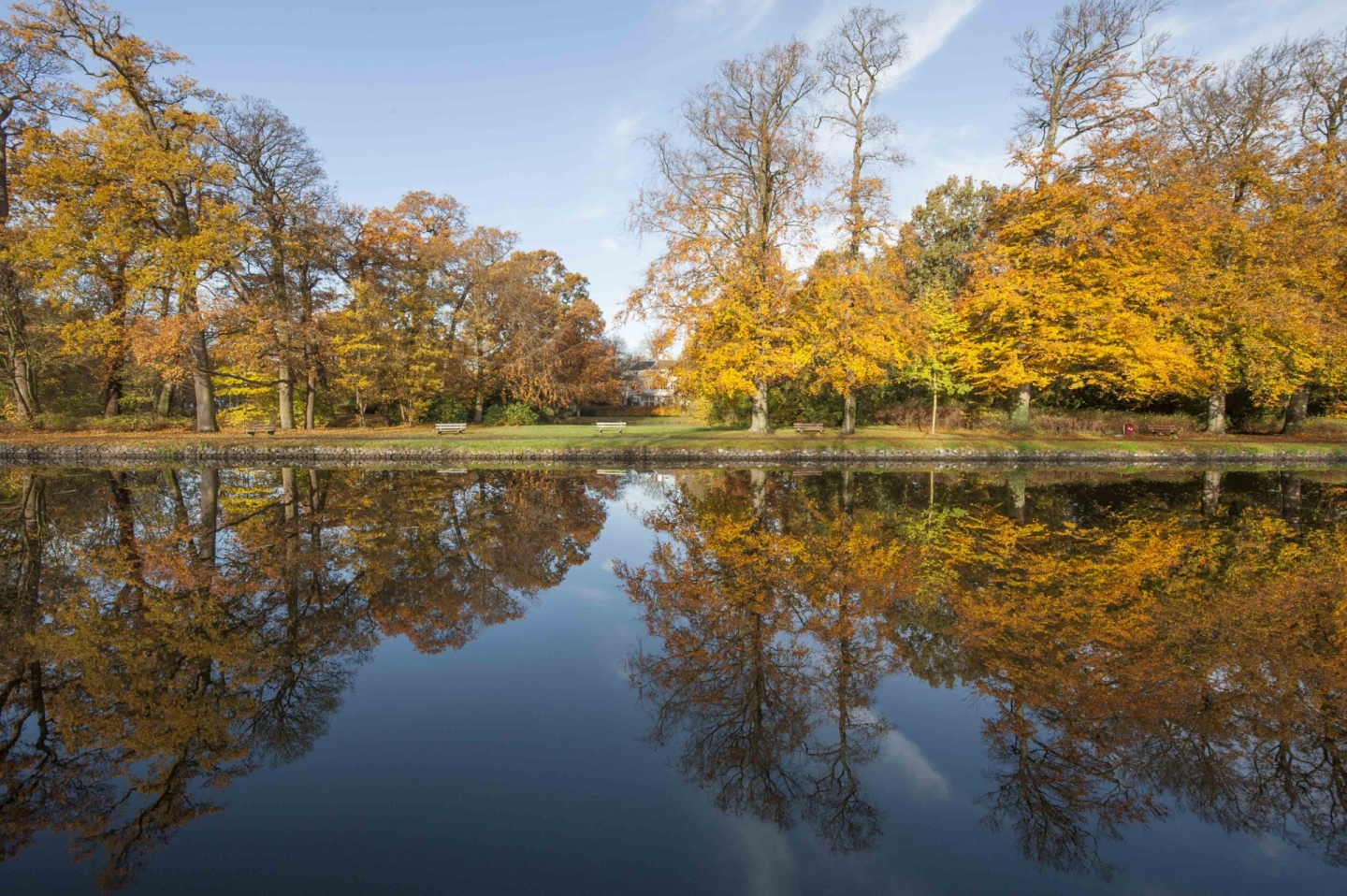 De Vliet in de herfst  © Ronald Meekel