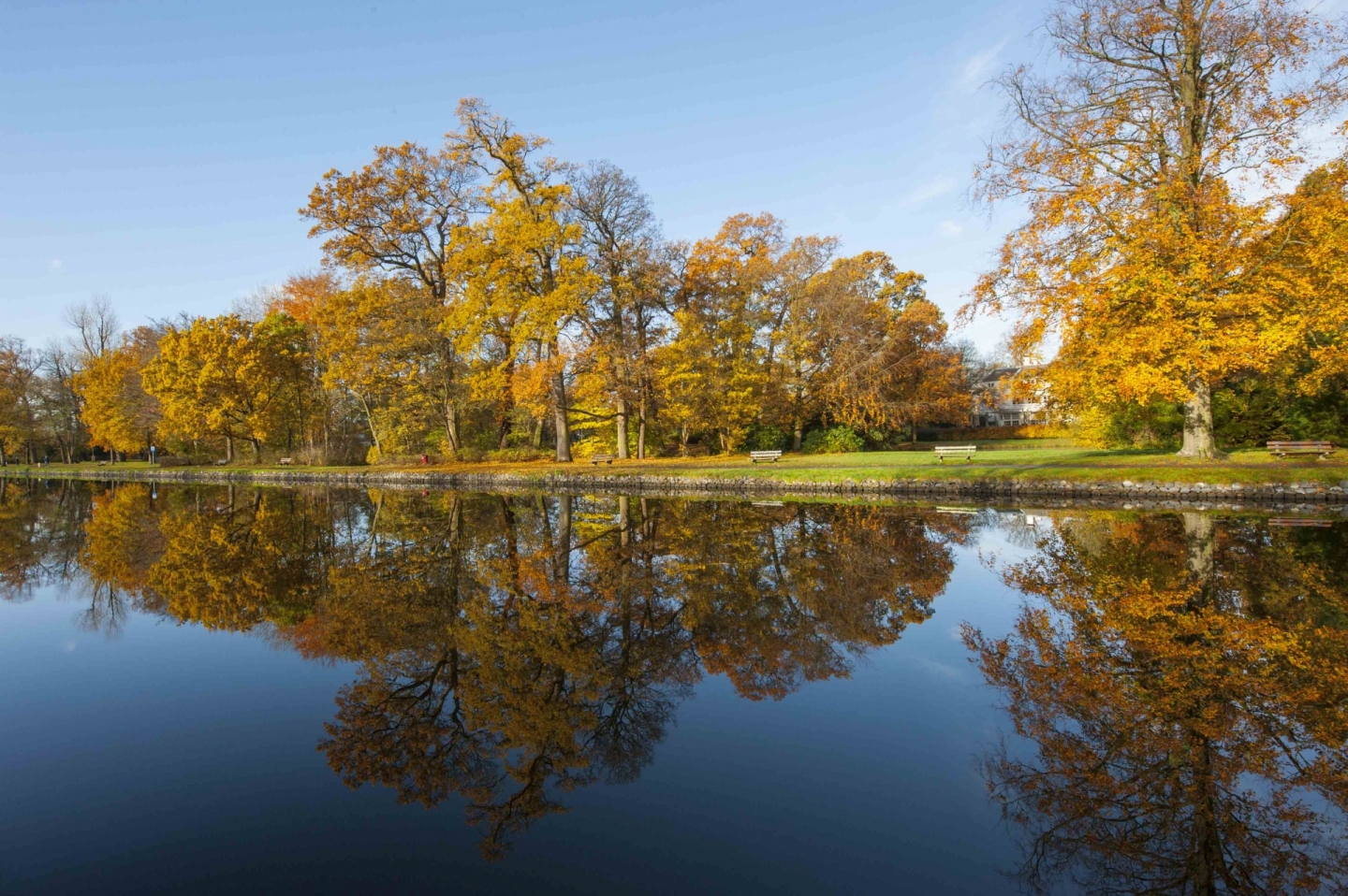 De Vliet in de herfst  © Ronald Meekel