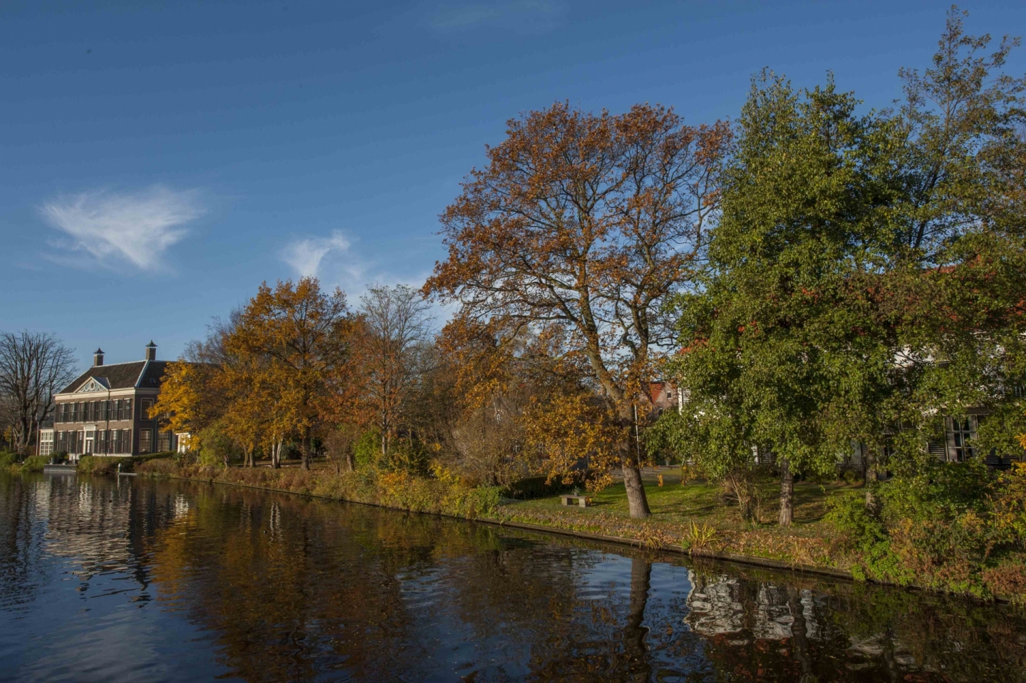 De Vliet in de herfst  © Ronald Meekel