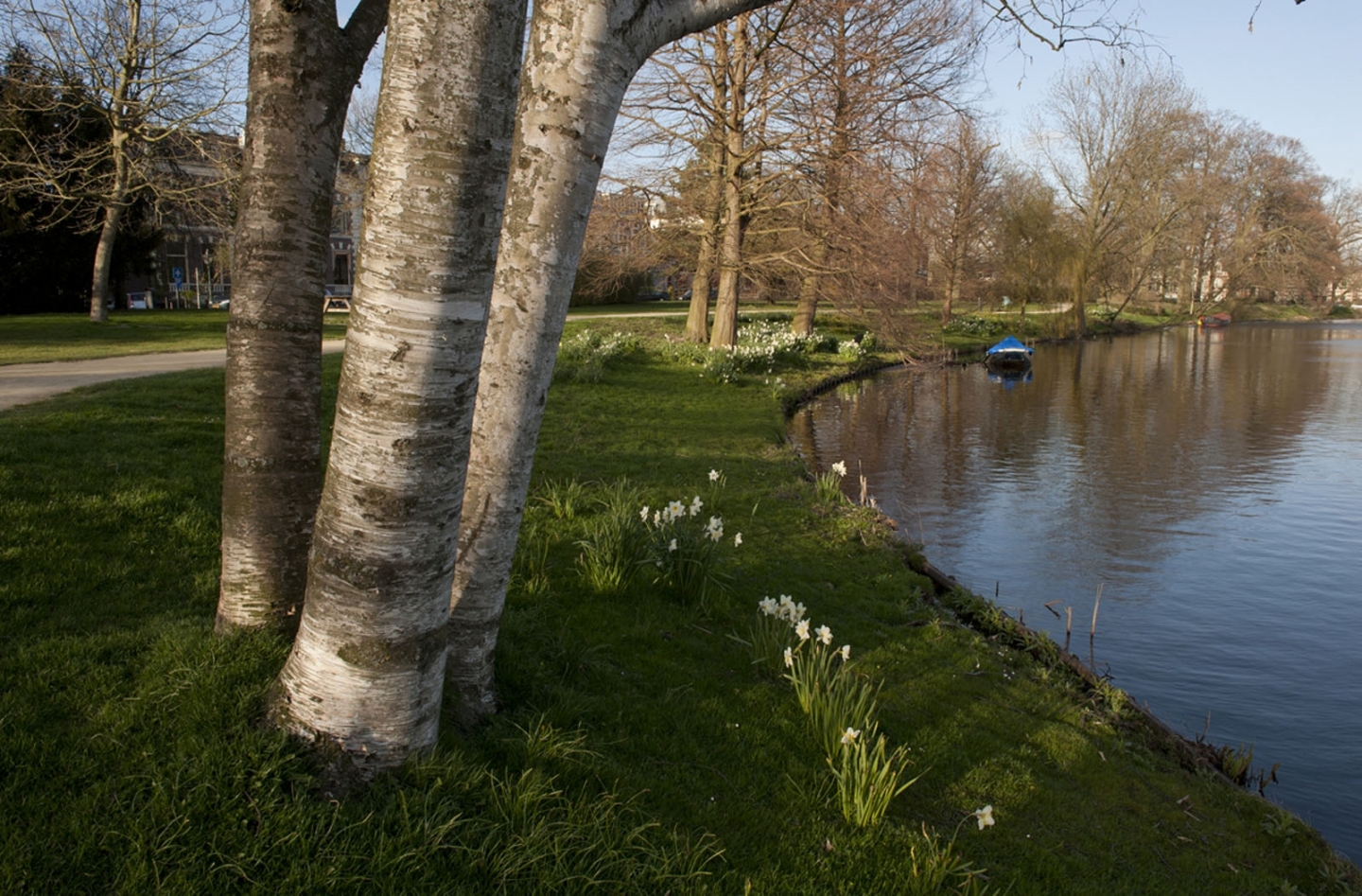 Singelpark in seizoenen  © Ronald Meekel